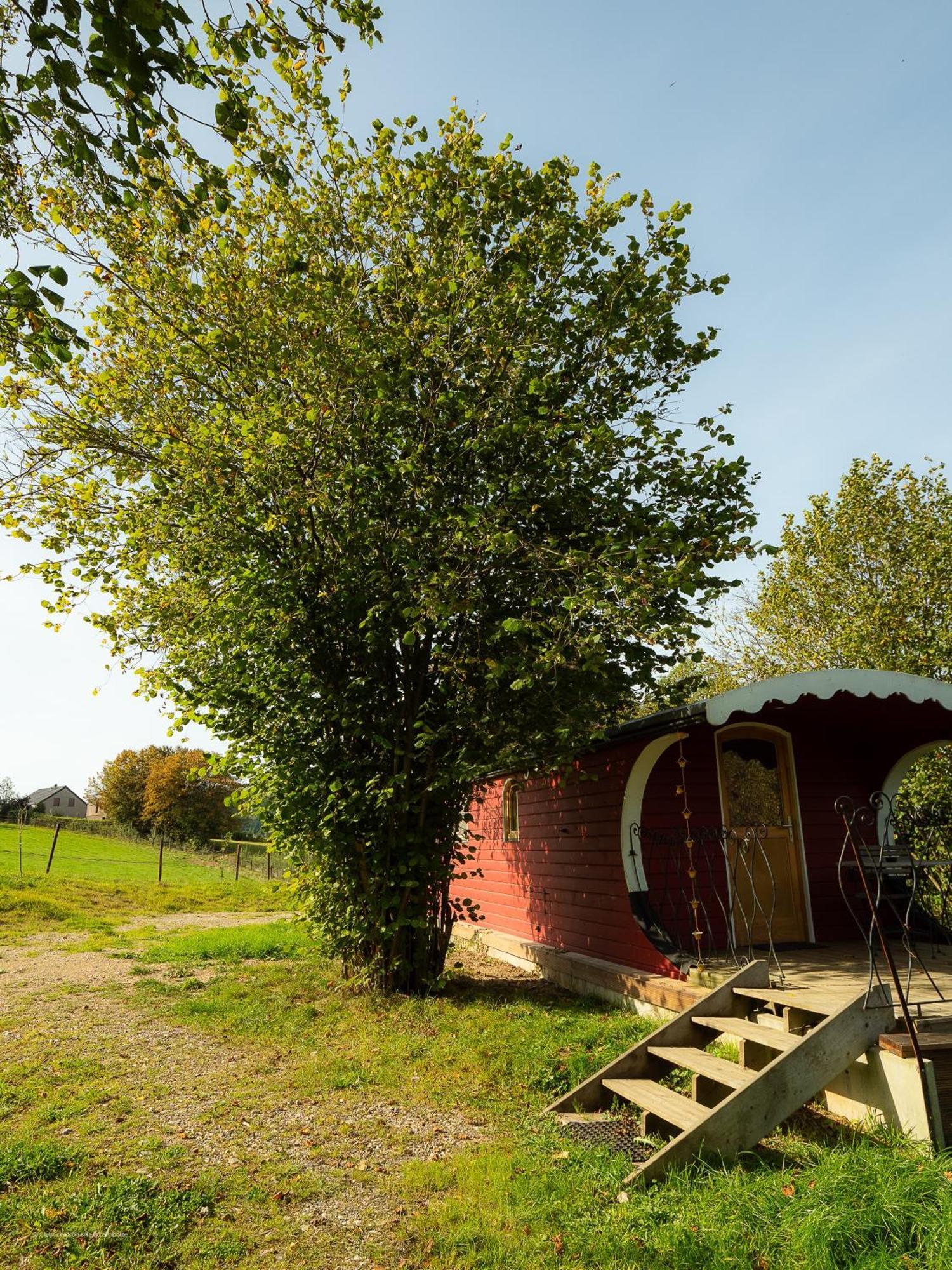 La Tiny House De La Bergerie Villa Lierneux Kültér fotó